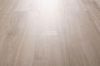 IVC Primero (Сlick) IVC Primero 24137N фото 5 | FLOORDEALER